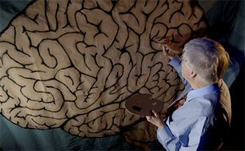 Artist painting a brain on a green canvas